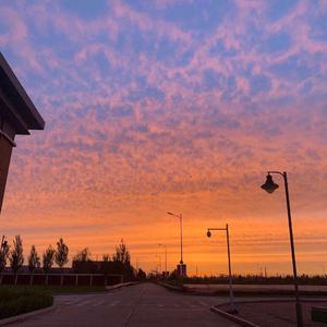 AV手机免费在线观看
