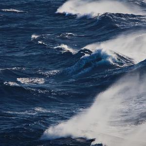 AV手机免费在线观看
