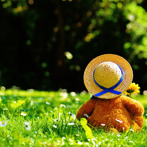 AV手机免费在线观看
