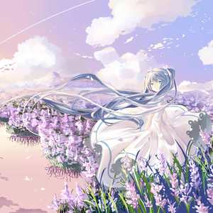 AV手机免费在线观看
